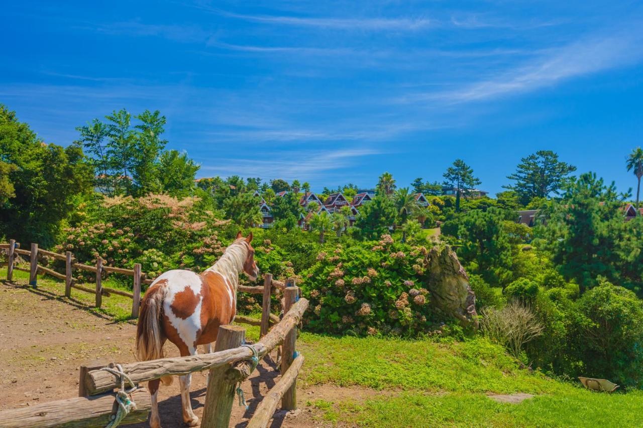 Jungmun Log Pension & Resort Seogwipo Esterno foto