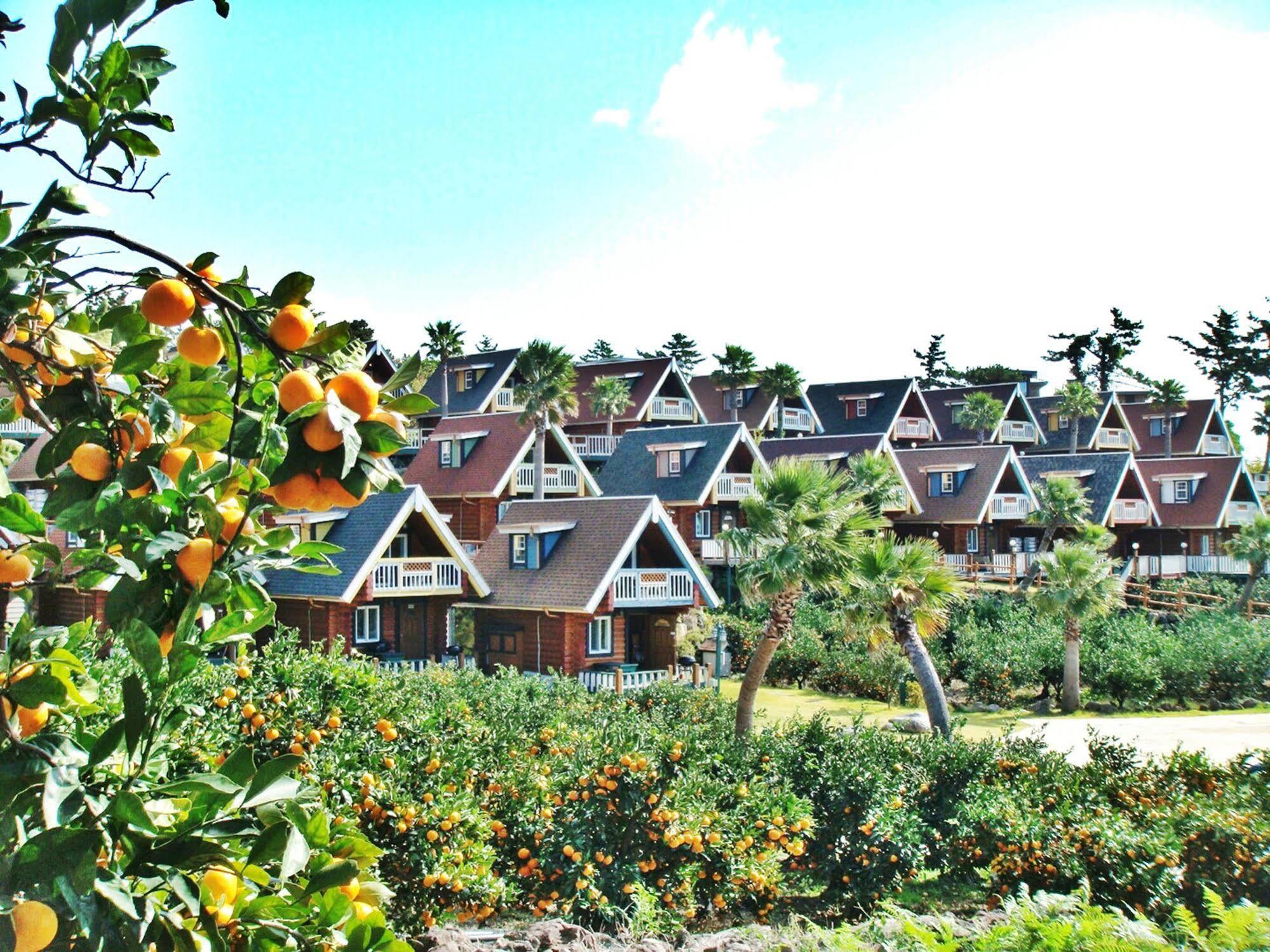 Jungmun Log Pension & Resort Seogwipo Esterno foto